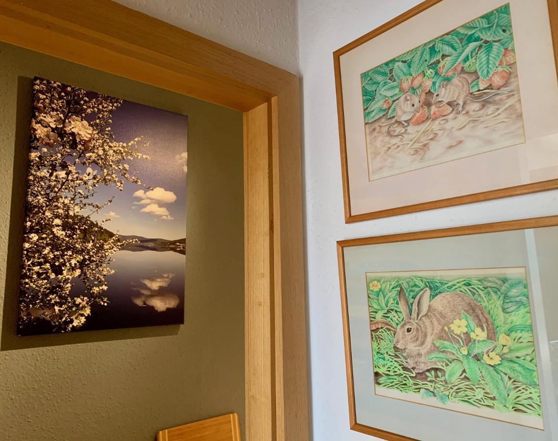 Studio Hase Saig Extérieur photo